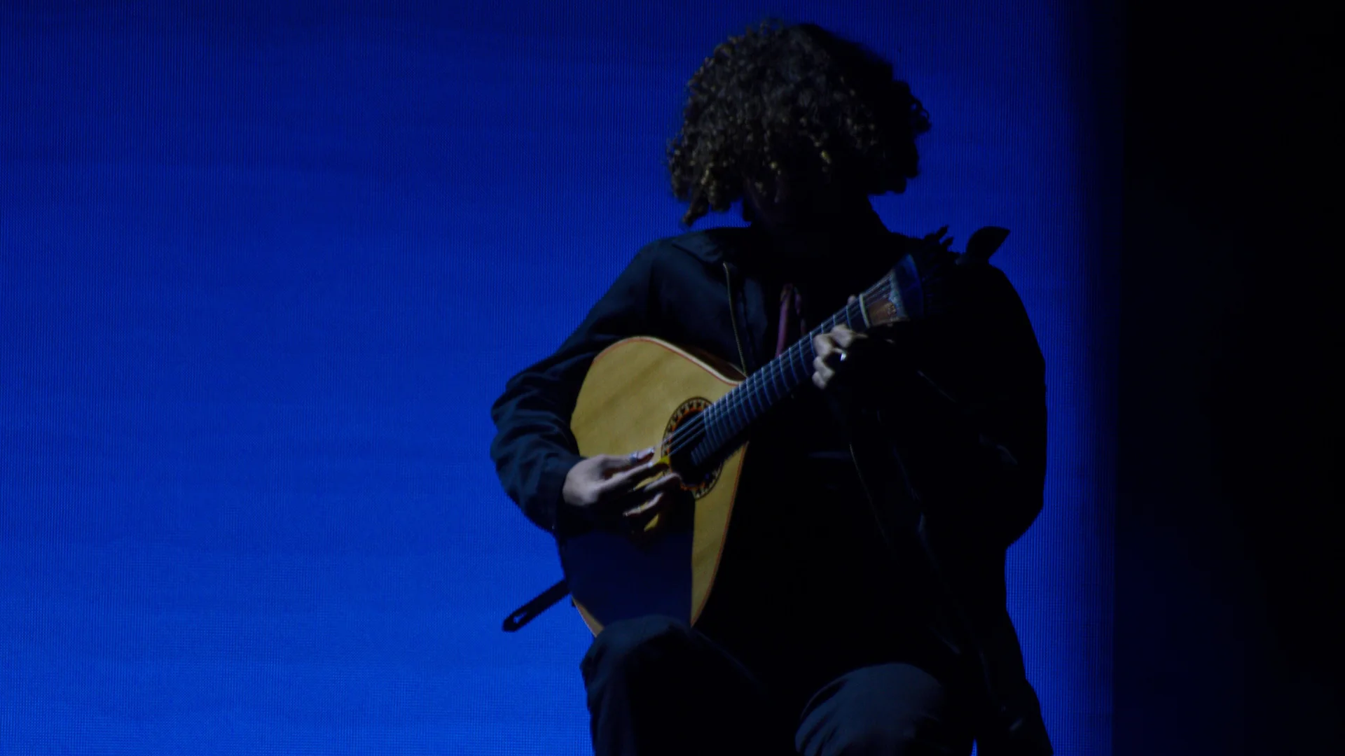 Gitarzysta w sylwetce gra na gitarze portugalskiej, której jasne, gruszkowate pudło jest oświetlone na tle głęboko niebieskiej sceny